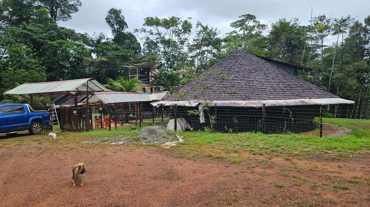 Vue d'ensemble du carbet en pleine forêt guyanaise